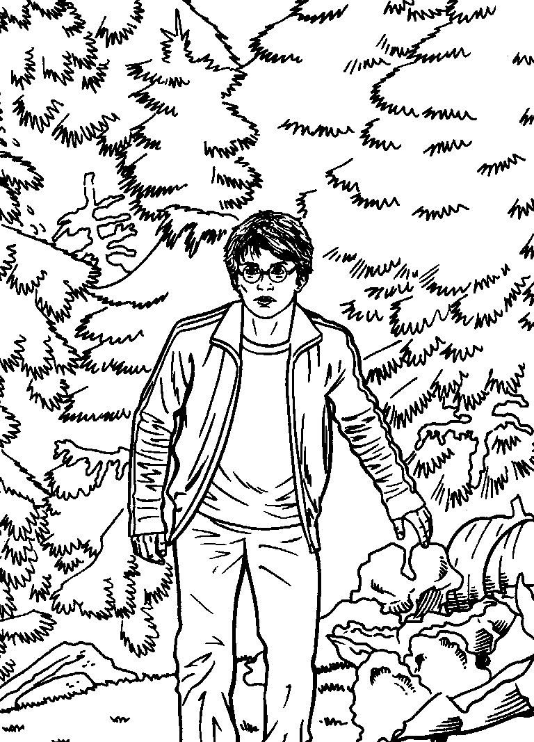 Plansa de colorat cu Harry Potter 136 42